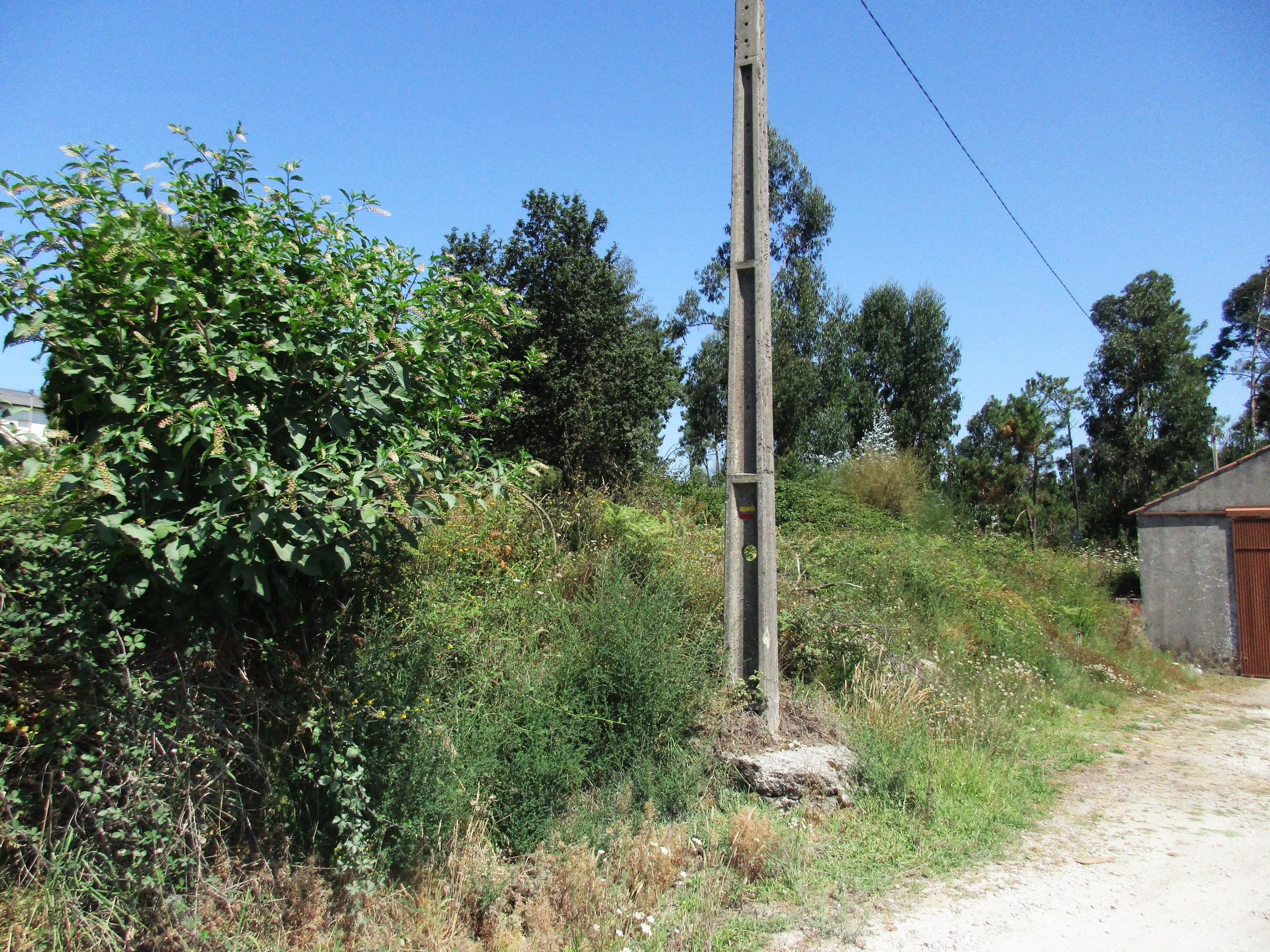 Lote de Terreno- Antas