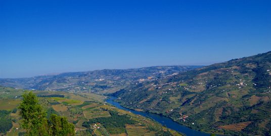 Quinta no Douro