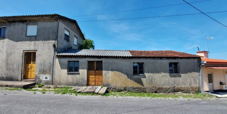 cinza (1)
