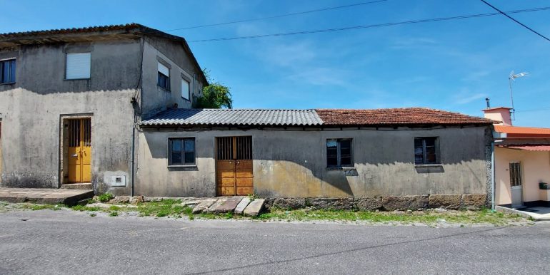 cinza (5)