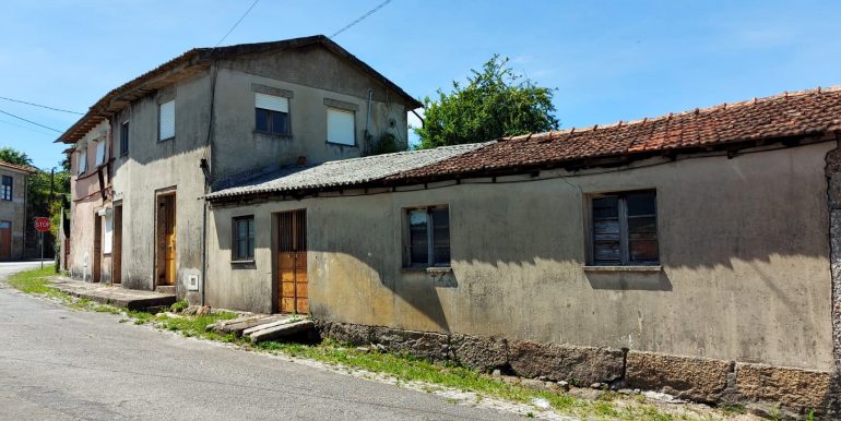 cinza (6)