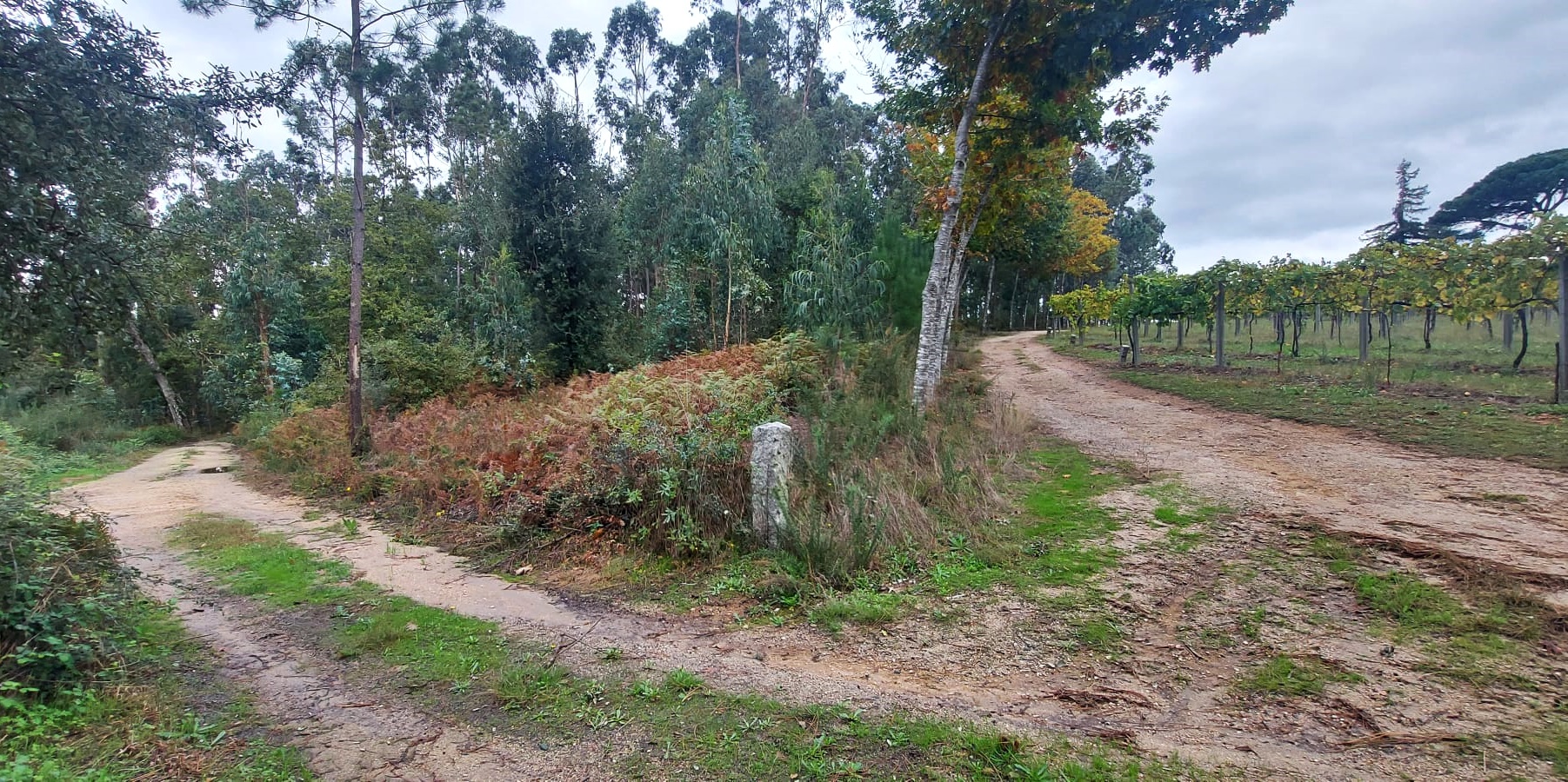 Terreno Rústico – Santa Eulália