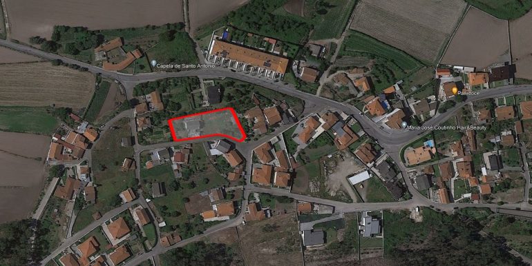 carvalhas1